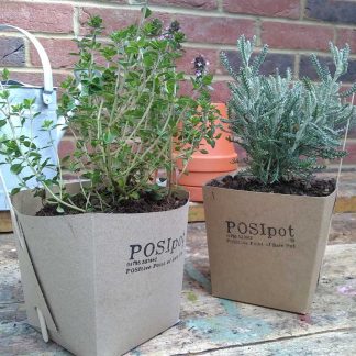 1 litre POSIpot