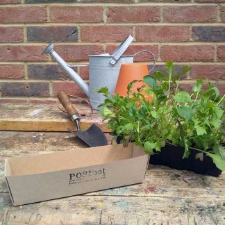 POSIpot Seedling Tray